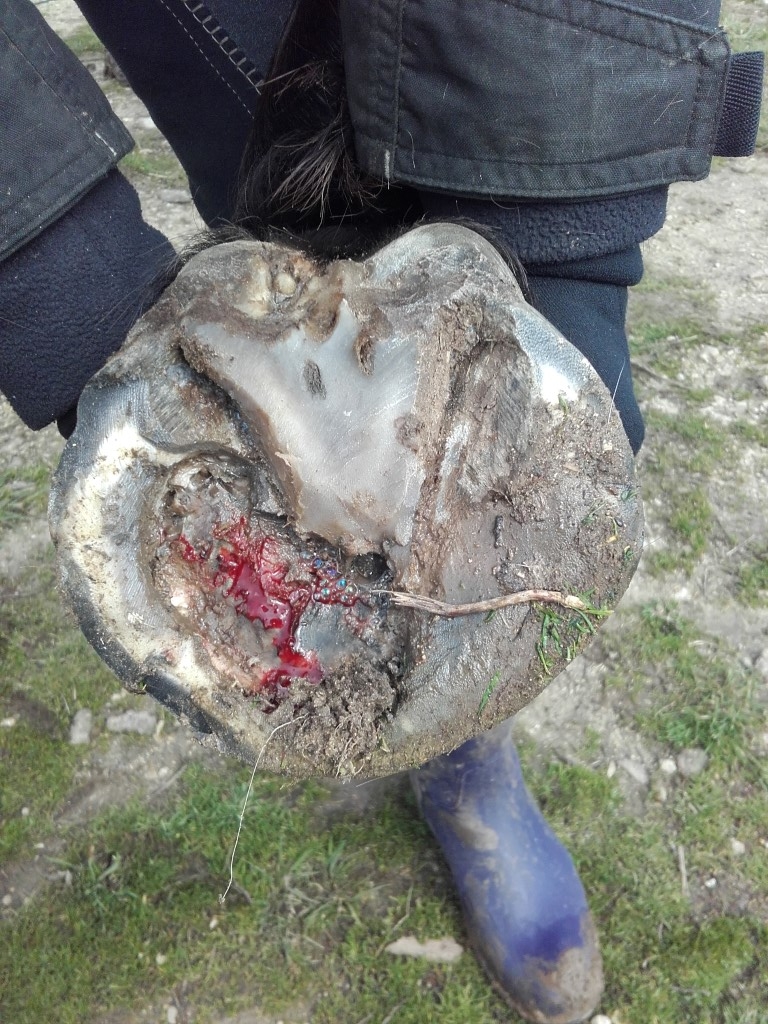 20160226 124345 Medium