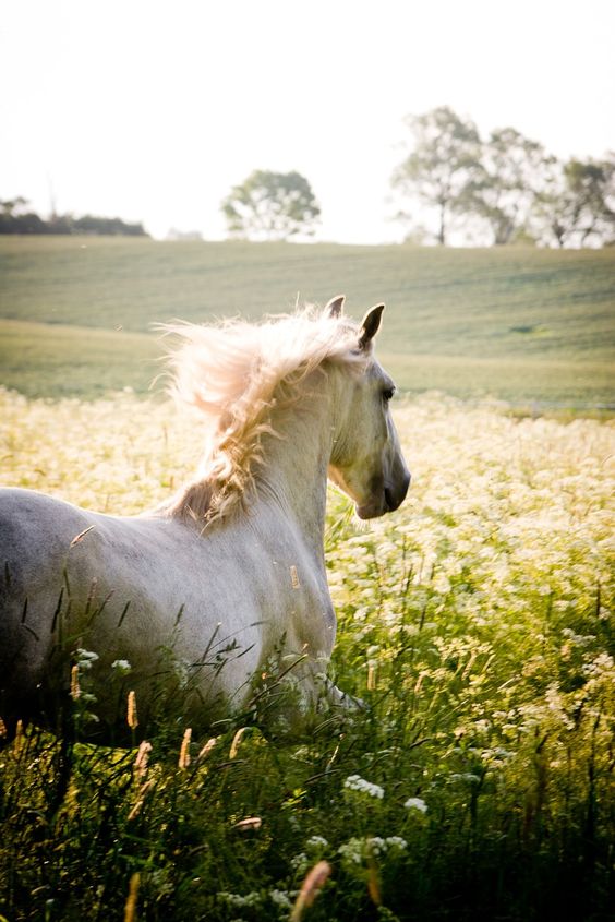 748ddfb6272ef6456ba08de5503cade4