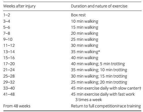 ín kontroll mozg tábl