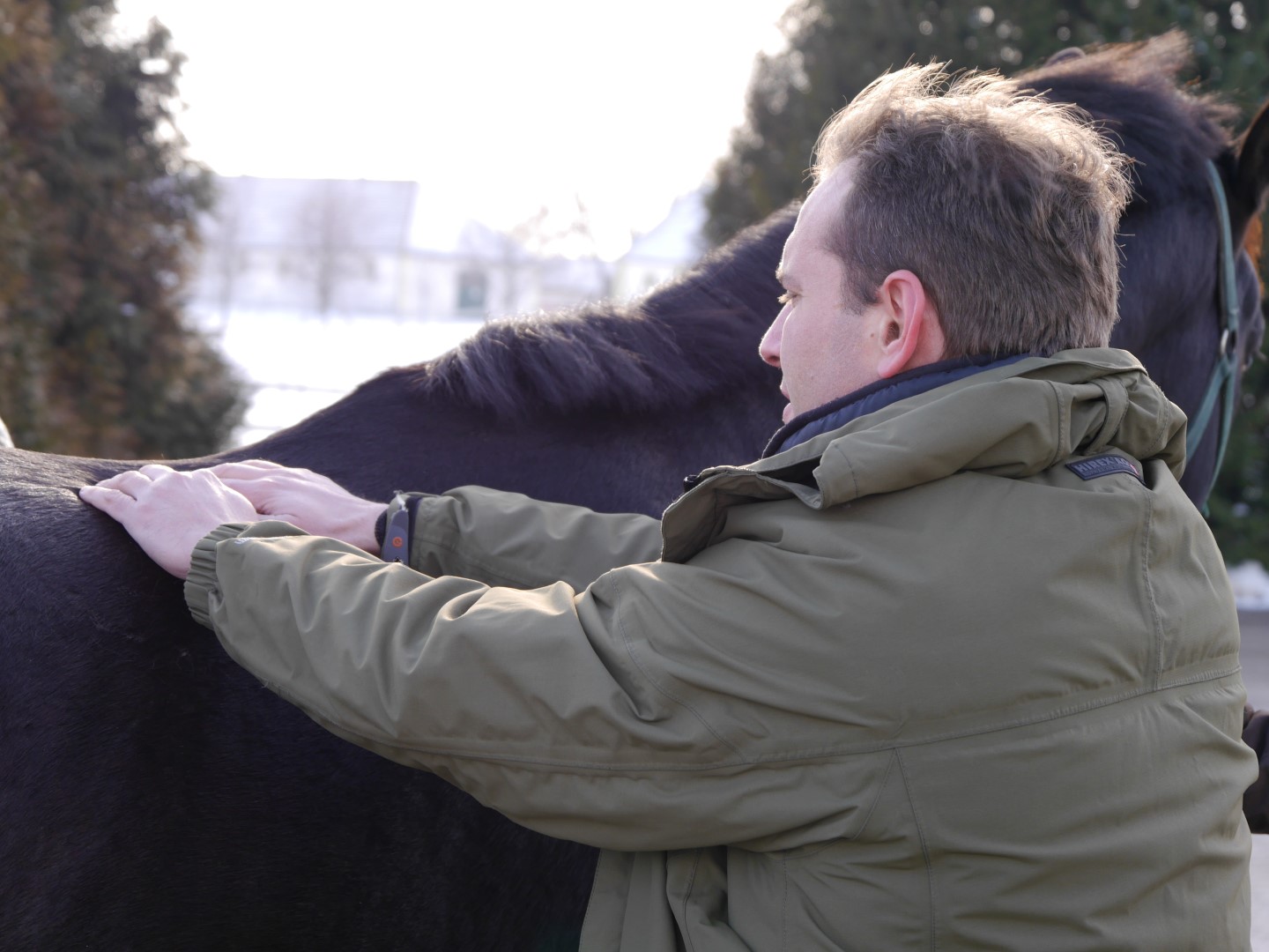 sáripuszta lóhát Large