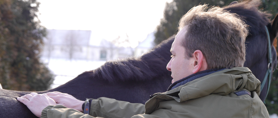 Adásvételi vizsgálat