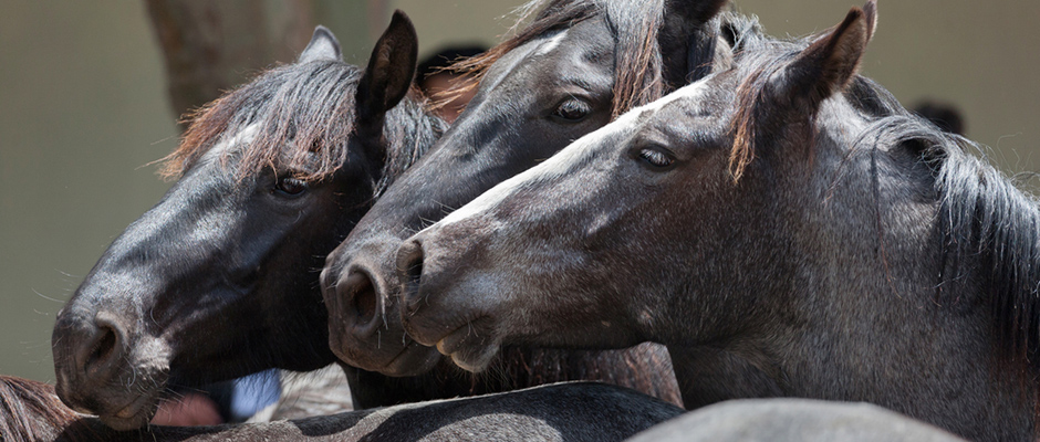 Magas szintű ellátás