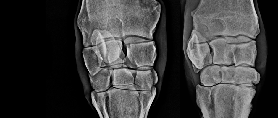 Digitális röntgen és ultrahang